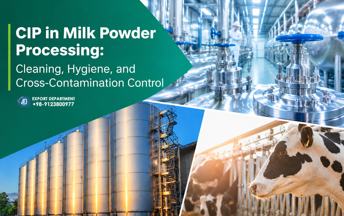 CIP in Milk Powder Processing: Cleaning, Hygiene, and Cross-Contamination Control